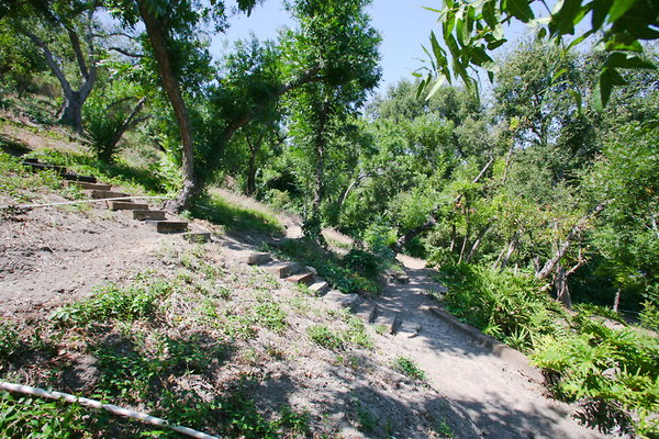 Backyard Hill Path 0059 1