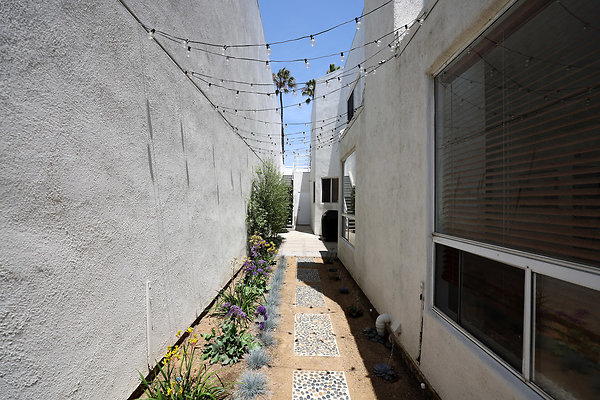 784A Path to Rear Patio rev 0780