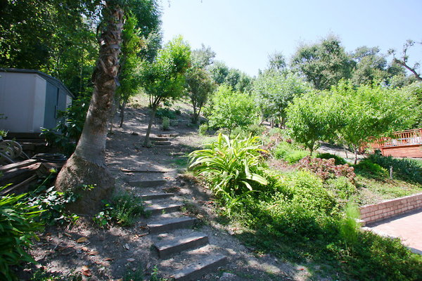 Backyard Hill Path 0049 1