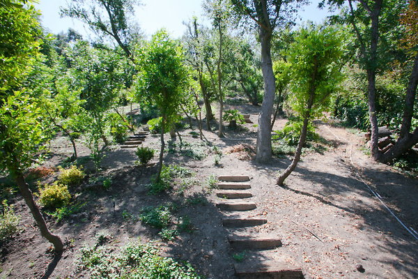 Backyard Hill Path 0055 1