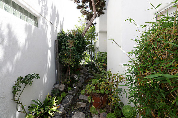 799A Path to Rear Patio 0580 799A Path to Rear Patio 0580