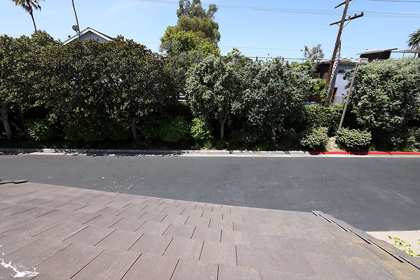 799A Front Deck View 0590