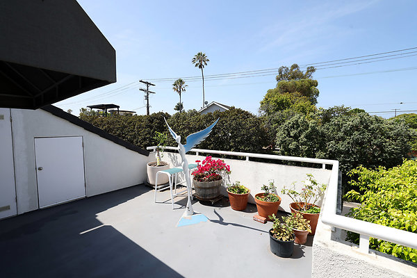 799A Front Deck 0588