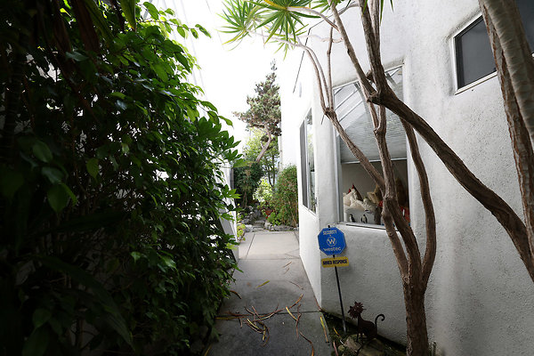 799A Front Walk Entrance rev 0577