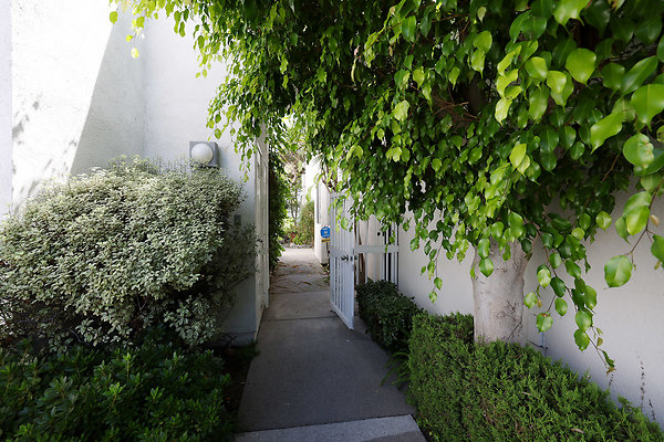 799A Front Walk Entrance 0576