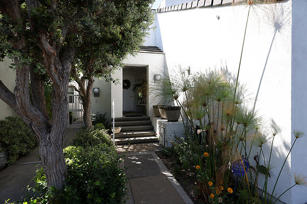 782A Front Walk 0004