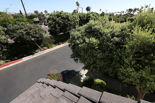 782A Front Deck view 0030