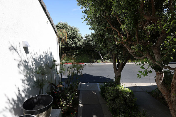 782A Front Walk rev 0005