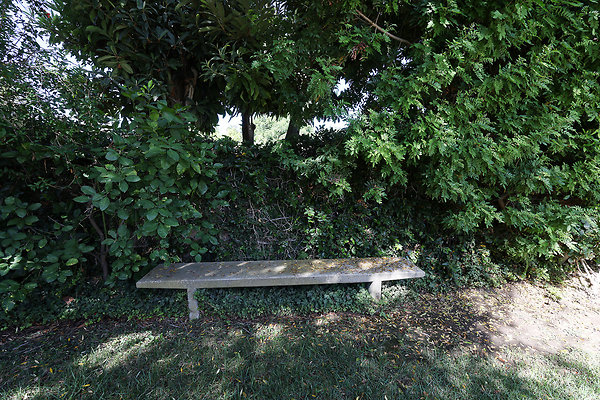 582A Backyard 0255