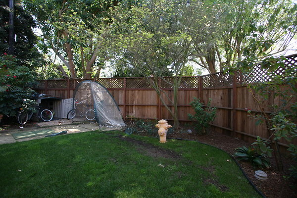 Backyard 0017 1