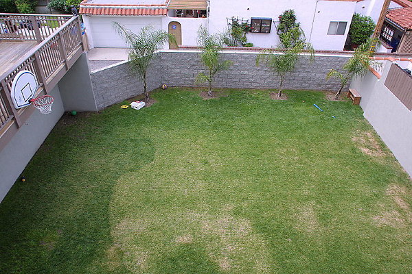 Backyard from above 0121 4 1