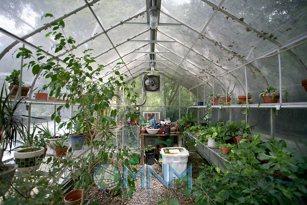 Greenhouse2 1