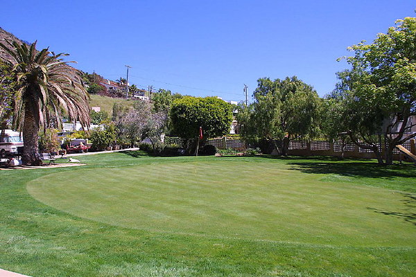 Front Green 0030 13 1