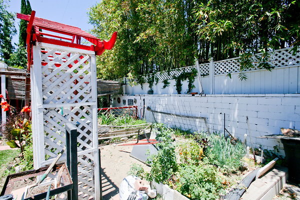 Backyard Vegetable Garden 0082 1