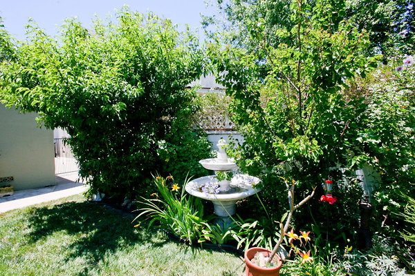 Backyard Fountain 0095 1