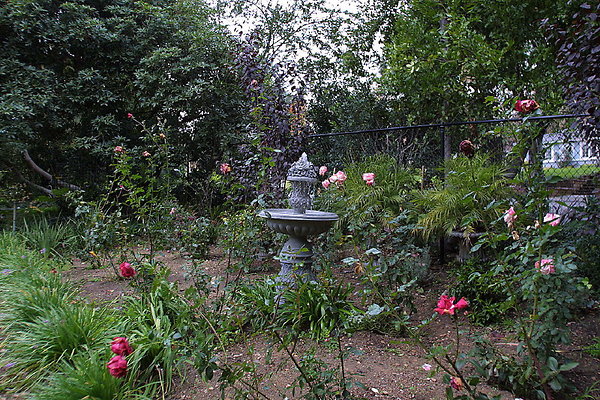 025A Front Yard Fountain 0029 11 1