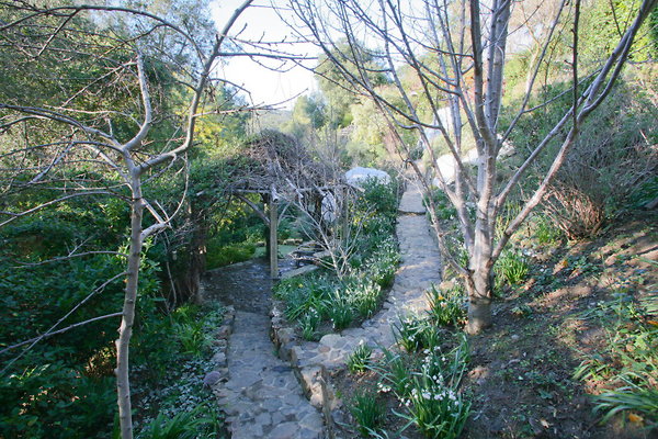 Garden Path 0066 1