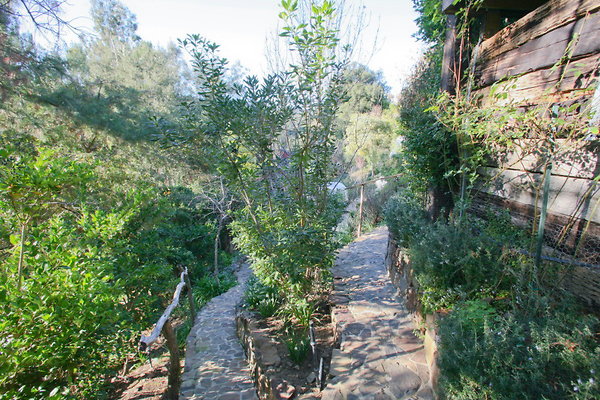 Garden Path 0068 1