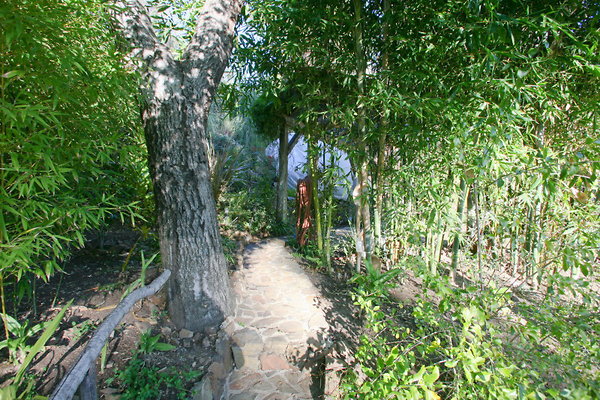 Garden Path 0055 1