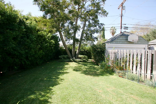 Backyard1 1