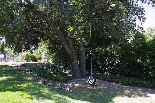 RS Tree Tire Swing 0015 33 1