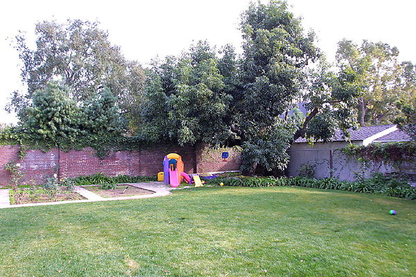 Backyard 1 1