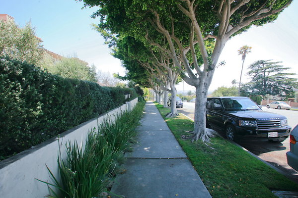Sidewalk1 1