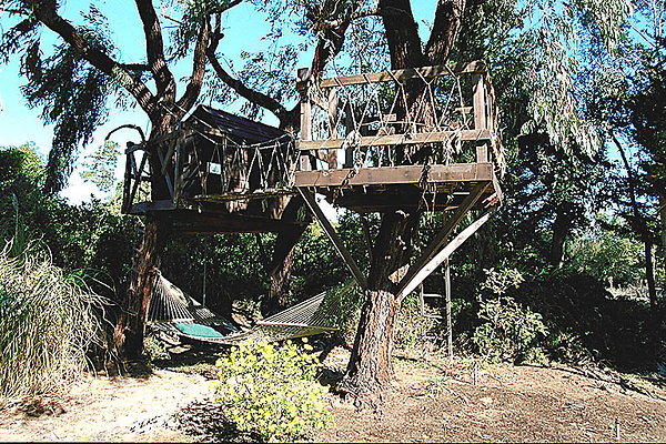Backyard Tree House 0058