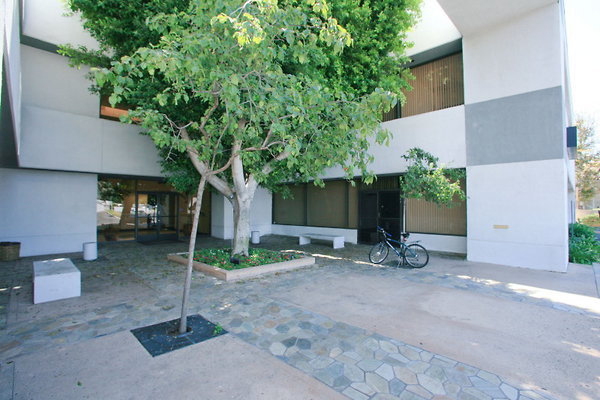 Courtyard 0100 1