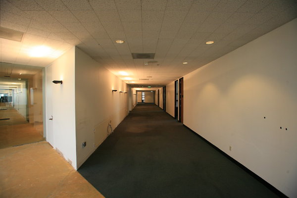 25th Floor Office Hallway 0273 1