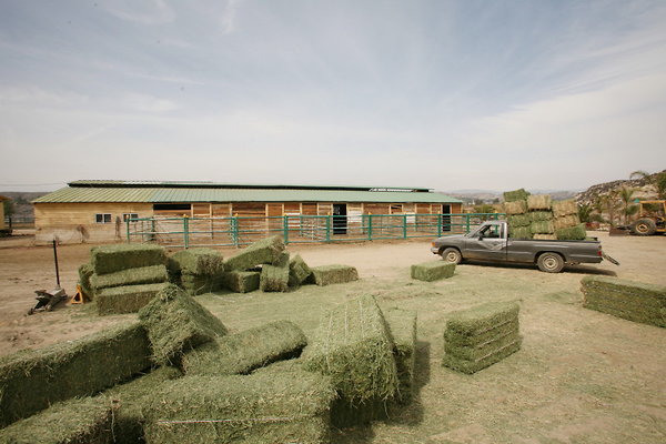 Stone Barn Hay 0130 1