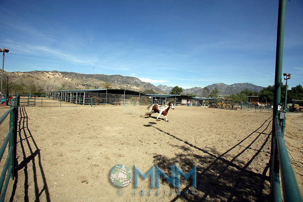 381 Horse Ranch &amp; Ranch House