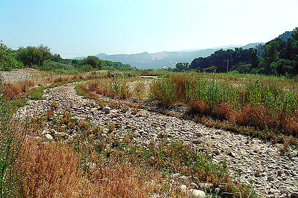 River Bed 0002