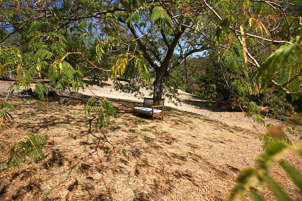 003A Secluded Bench 0160 1