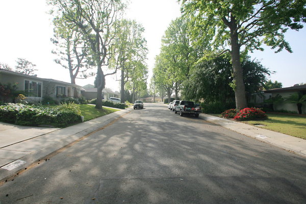 Street1 1