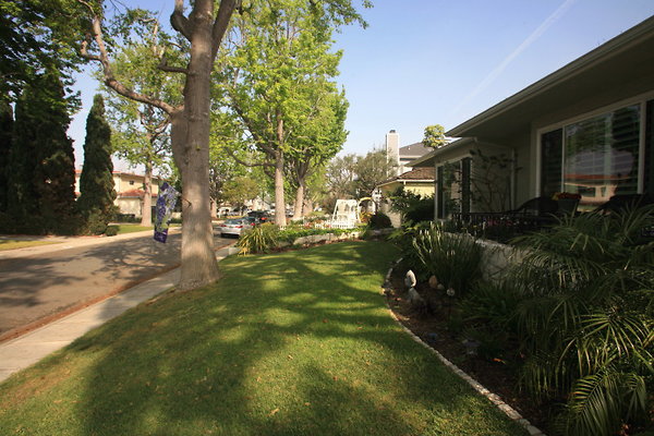 Front Yard 0009 1