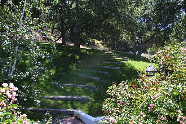 Backyard Steps 0064 5 1