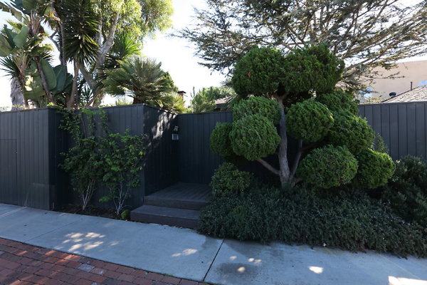 Front Fence 0085 1