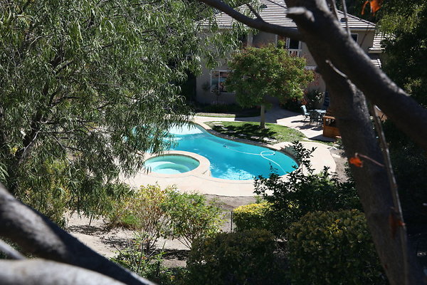 Pool from Hillside 0050 1