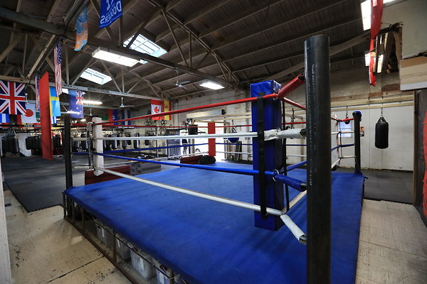 497A Boxing Ring LS 0007 1