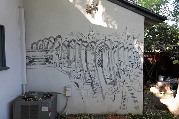 452A Backyard Graffiti 0031