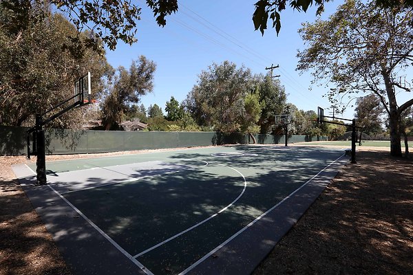 Basketball Court 0718
