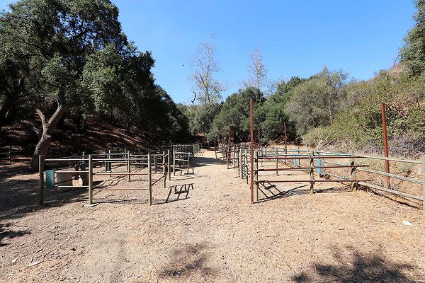 Horse Corral 1156