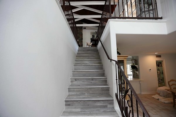 449A Staircase 0064