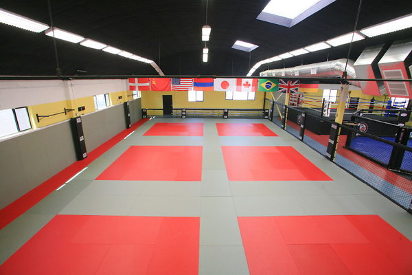 Grappling &amp; Wrestling Mat from Balcony 0063 1