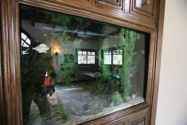 619A Guest House Fish Tank 0193 1