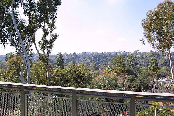 View from Deck 0049