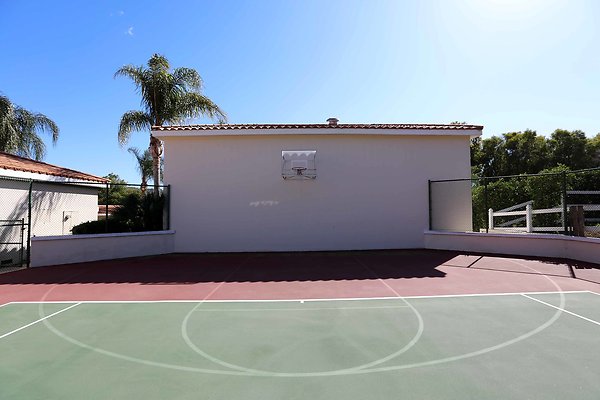 Tennis Court Hoop 0048