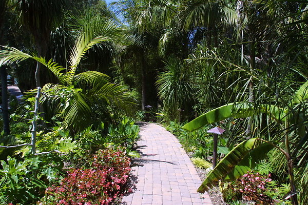 LS Driveway Garden Walkway2