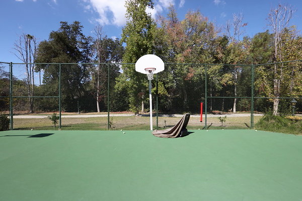 005A Tennis Court Hoop 0054 1
